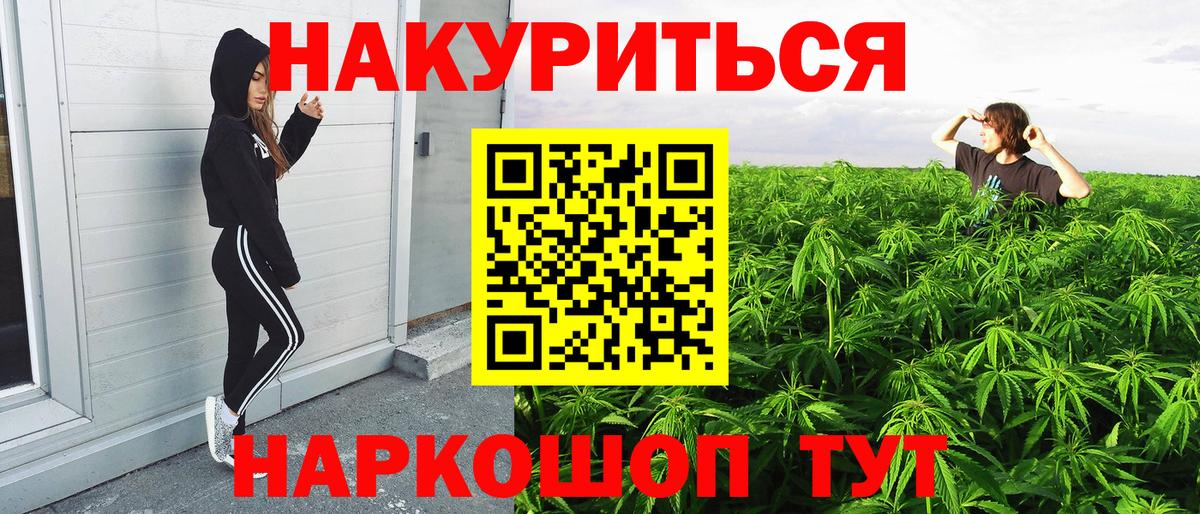 Шишки марихуана сатива Северобайкальск
